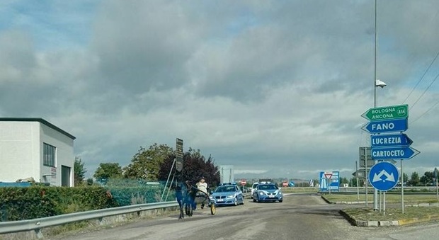 Il cavallo scosso con il calesse recupero in autostrada