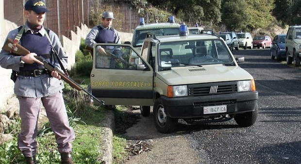 Corpo Forestale addio, 7 mila agenti trasferiti ai Carabinieri: pioggia di ricorsi