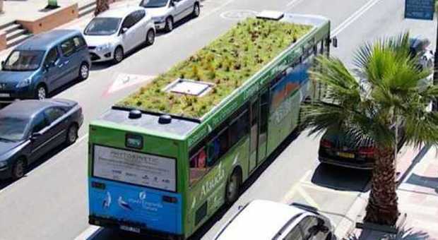 Arrivano i primi eco-bus: "Sul tetto aiuole, giardini e orti urbani". Ecco dove