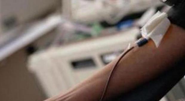 Avis Narni cerca di donatori di sangue «Sempre di meno quelli disponibili»