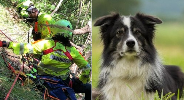 Claudio Gramigni, trovato morto l'escursionista disperso in un dirupo. Il suo cane ha vegliato su di lui