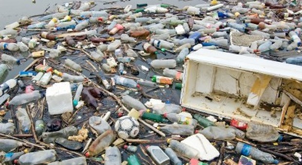 Frittura di pesce e...plastica. Mari e oceani invasi dai rifiuti. Mediterraneo in pole