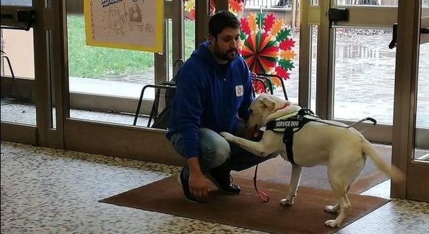 Moira, uno dei due cani addestrati per assistere persone affette da disabilità