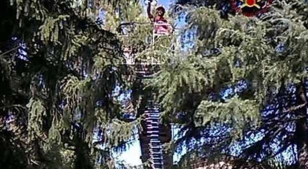 «Pompieri, aiuto: il drone mi è rimasto in cima ad un albero, è pericoloso»