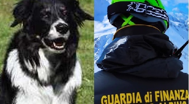Domodossola, escursionista trovato morto: il cane lo ha vegliato per tutta la notte