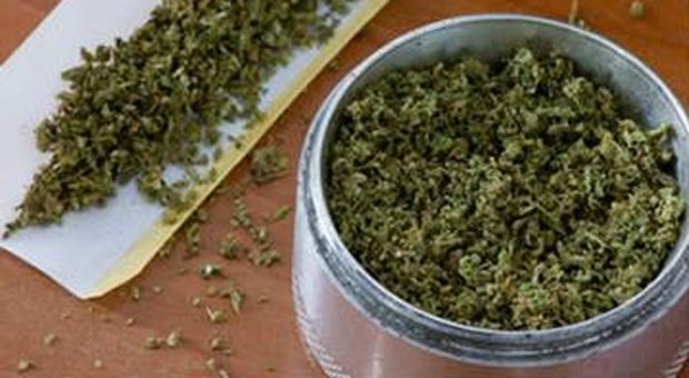 Arrestato con 60 grammi di marijuana, assolto: "Era erba da meditazione"