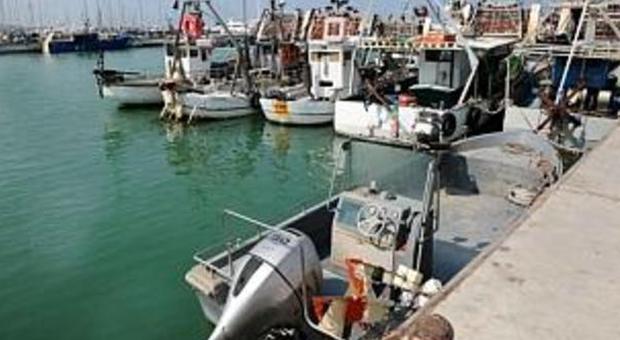 Danni alle attrezzature, clima teso al porto Vongolari nel mirino dei piccoli pescatori