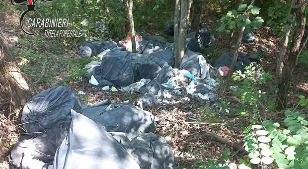Nocera Umbra, scoperti 200 sacchi di rifiuti nel bosco. Scatta la denuncia per un imprenditore