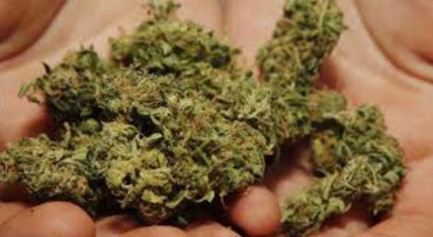 Nascondevano in auto quaranta kg di marijuana e danaro: due arrestati