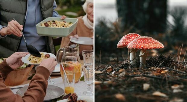 Il pranzo di famiglia a base di funghi si trasforma in una strage: morti ex suoceri e la zia. «Non sapevo fossero velenosi»