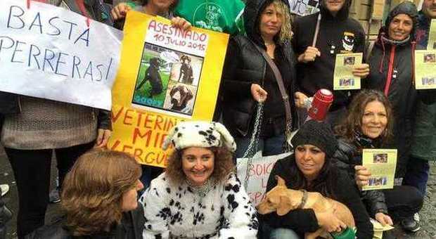 Napoli Migliaia di firme per chiudere le Perreras della morte