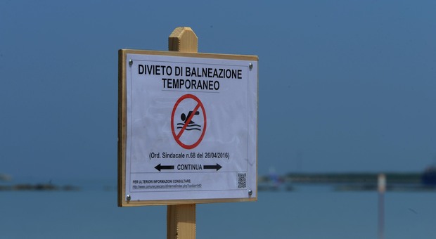 Vasto, alga tossica in mare: scatta il divieto di balneazione