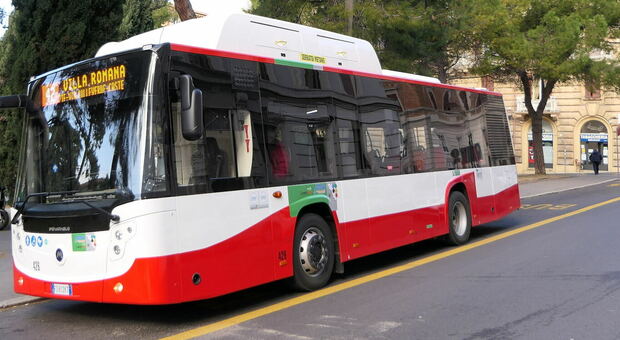 Ancona, non oblitera il biglietto, scoppia il caos sul bus: spinte ai controllori, un camerunense finisce a giudizio
