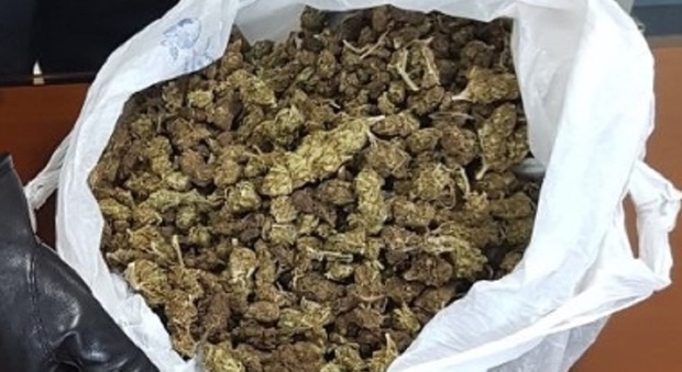 Droga comprata su Telegram, barista 23enne di Casale ordina un chilo di marijuana dall'America