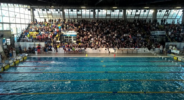Dai 12 agli 80 anni: al Trofeo Flegreo in vasca 1500 atleti nel prossimo fine settimana