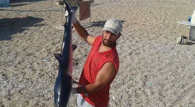 Pescato uno squalo sul tratto di mare antistante Porto Recanati