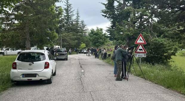 Orsa Amarena, troppi turisti vogliono fotografarla: sindaco di Villalago costretto a chiudere la strada