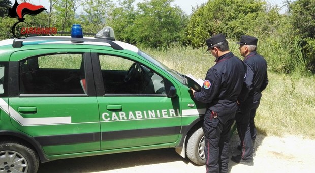 I carabinieri forestali durante un controllo