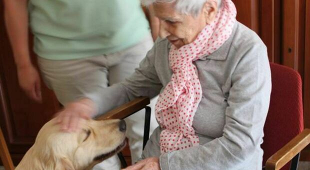 Pet therapy per migliorare l'umore degli anziani: quando gli amici a quattro zampe possono essere un aiuto