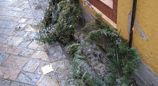Tolentino, raid notturno dei vandali: tagliate e abbattute le luminarie natalizie