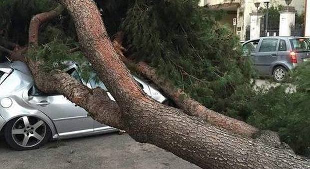 Maltempo a Napoli: alberi caduti, tetti scoperchiati e strade chiuse