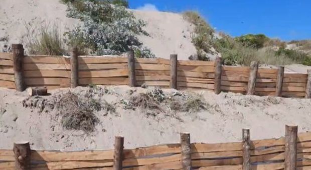 Castelporziano, arrivano le barriere di legno. «Così conteniamo le dune»