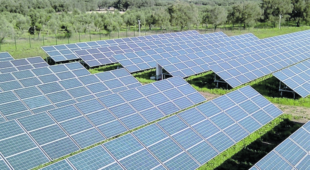 Svolta green contro il caro bollette: «Semplificare il potenziamento dei parchi fotovoltaici»