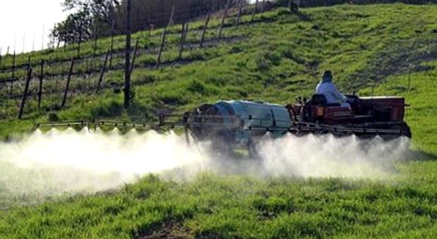 Ragusa, false aziende biologiche, truffa da un milione di euro: sequestrate dieci tonnellate di pesticidi