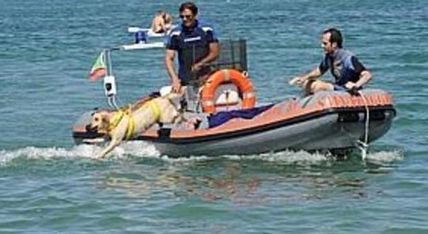 Cane salva un bimbo in mare e muore annegato