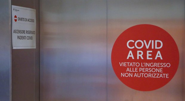 Coronavirus Veneto, 5 morti e 20 nuovi positivi nelle ultime 24 ore