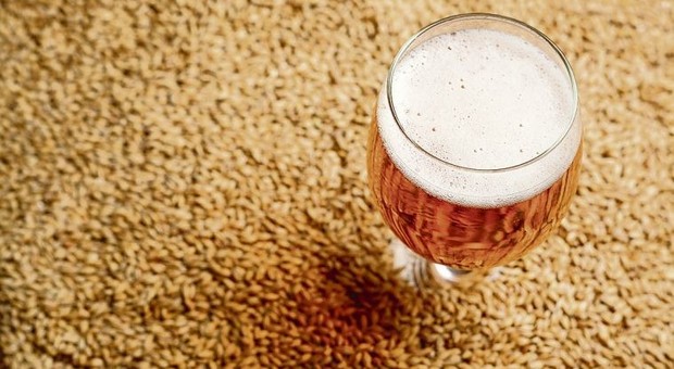 Il caldo minaccia la birra: può diventare poca e a prezzo raddoppiato