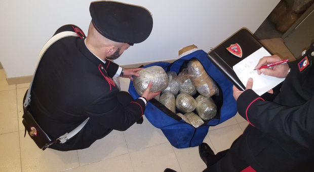 Alcuni bustoni di marijuana sequestrati dai carabinieri