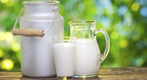 Latte, allerta per i 'latti di crescita': "Sono potenzialmente cancerogeni"