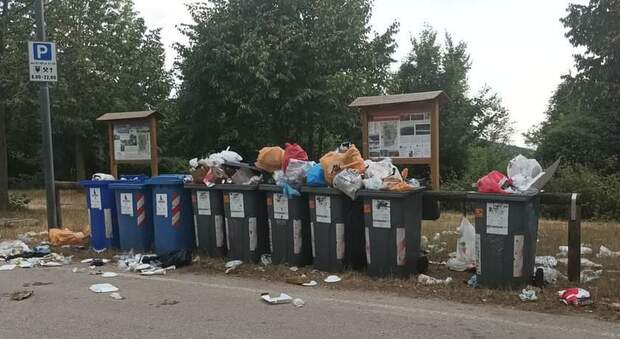 I rifiuti lasciati a Parco delle Fiorine