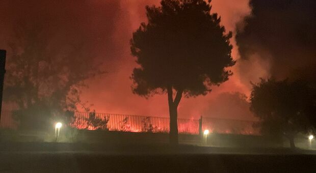 L'incendio in via Cellini a Senigallia