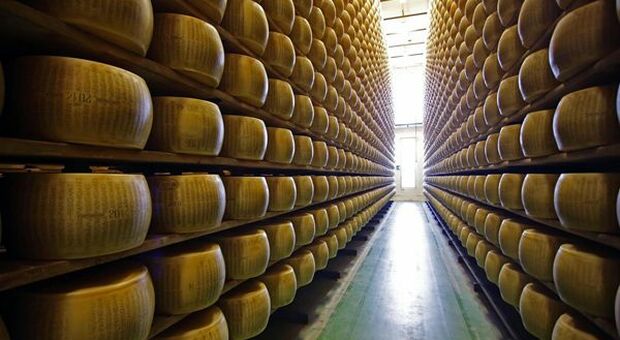 Intesa Sanpaolo: 40 milioni euro alla filiera del Parmigiano Reggiano del Consorzio Granterre