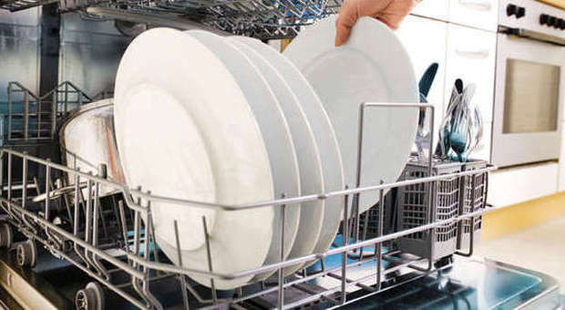 Allarme igiene: funghi nocivi nella lavastoviglie