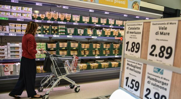 Carrello della spesa ridotto per 1 italiano su 3: «Si acquista meno cibo e di minore qualità». Le maggiori rinunce per vestiti e scarpe