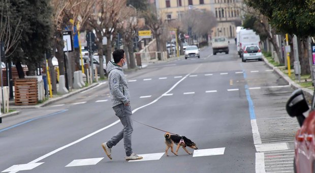 immagine Mascherine, passeggiate solitarie e file al supermercato
così è Civitavecchia ai tempi del coronavirus