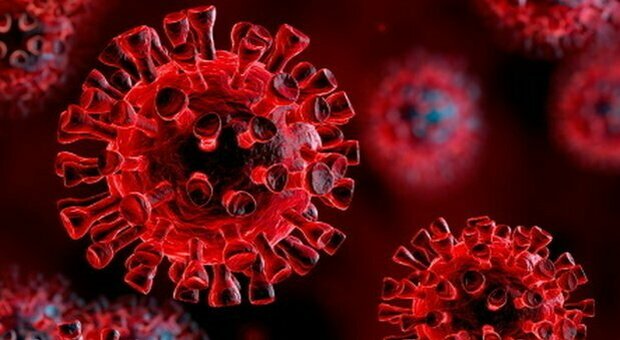 Virus parainfluenzali scatenati, ma i sintomi non vanno confusi con il Covid