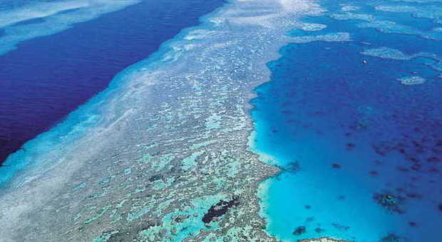 Lo spettacolo della barriera corallina vista dall'aereo
