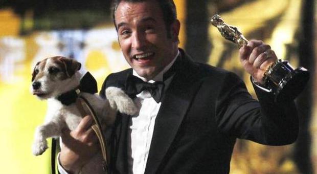 Addio a Uggie, cane da premio Oscar protagonista a quattro zampe di "The Artist"