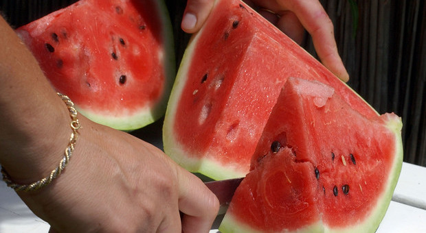 Il caldo cambia il menù: a giugno + 20% di frutta, boom per smoothies e centrifugati a casa, al bar e in spiaggia