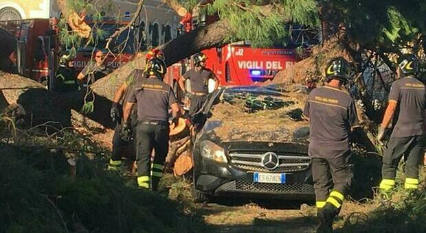 Roma, cade un pino in zona Campidoglio: colpita un'auto in transito FOTO