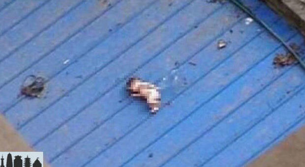 Neonato abbandonato al gelo sul tetto di un capannone