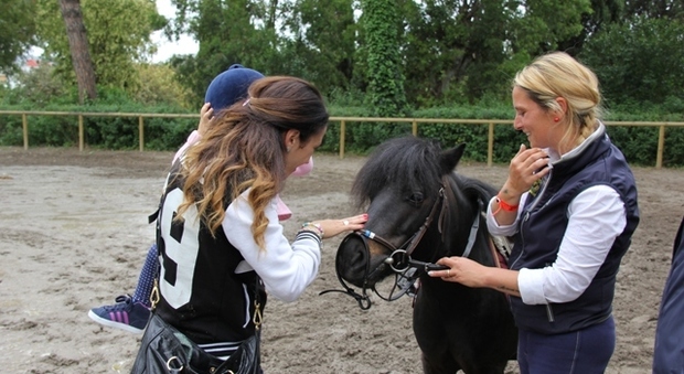 Scuola Napoletana di Equitazione, una estate con i pony