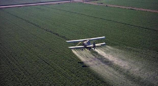 Ispra: pesticidi nel 63,9% delle acque superficiali