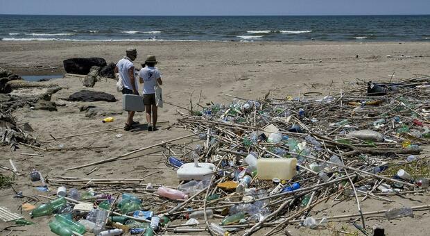 "Mare monstrum", aumentano i reati ambientali. Puglia seconda dopo la Campania