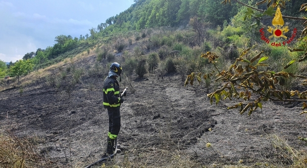 Scoppia un rogo a ridosso del bosco, decisivo l’intervento dei pompieri