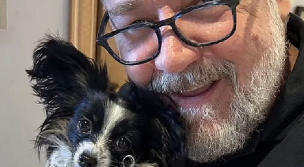 Russell Crowe piange Louis: morto il cagnolino di 16 mesi, investito nel giorno del secondo anniversario della morte del padre
